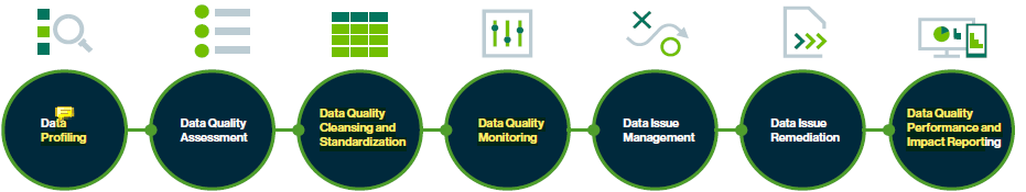 seven steps of data quality graphic