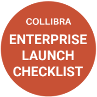 Collibra launch guide