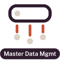 Master data management icon