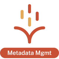Metadata management icon